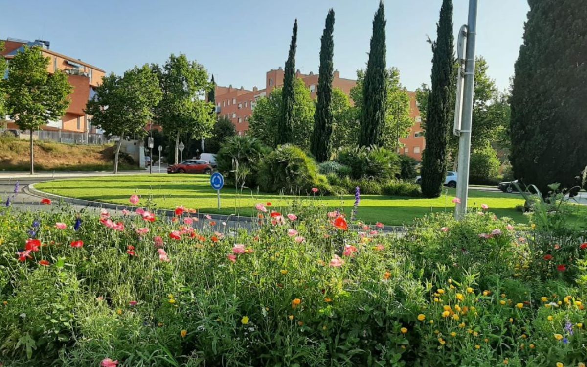 Imatge d'arxiu d'una acció per renaturalitzar l'espai urbà, a l'entrada del barri Gaudí