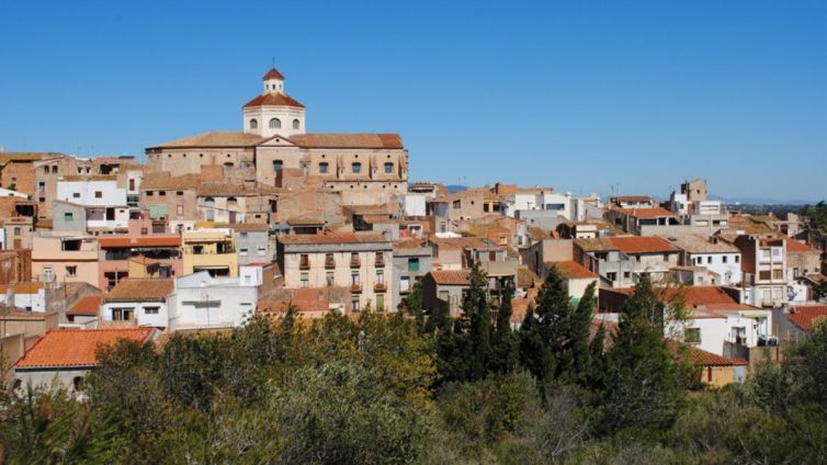 paisatge mont roig camp ajuntament nacio