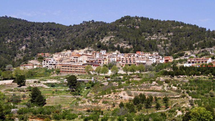 paisatge colldejou baix camp diputacio tarragona nacio