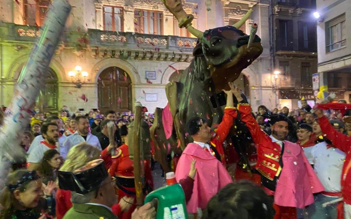 Imatge del bou de Carnaval de Valls