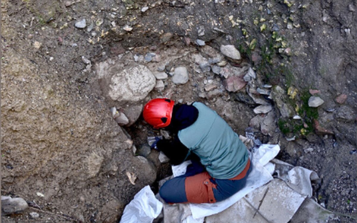 Un arqueòleg en les tasques d'excavació del jaciment