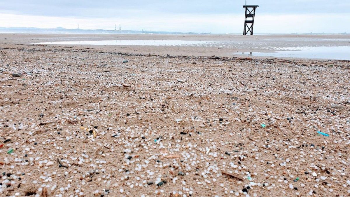 Contaminació per microplàstics a la platja de la Pineda.