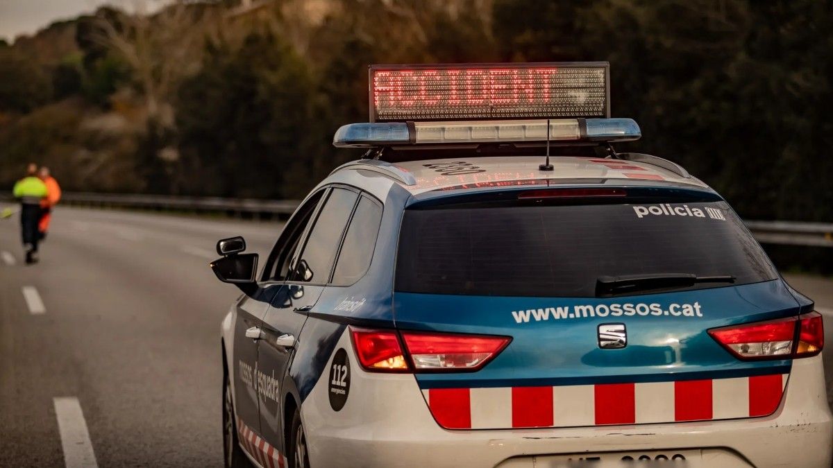 L'accident ha tingut lloc al pas de l'AP-7 pel terme municipal de l'Aldea.