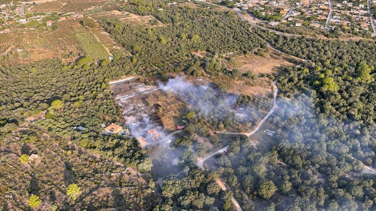 Imatge de l'incendi a Alforja.