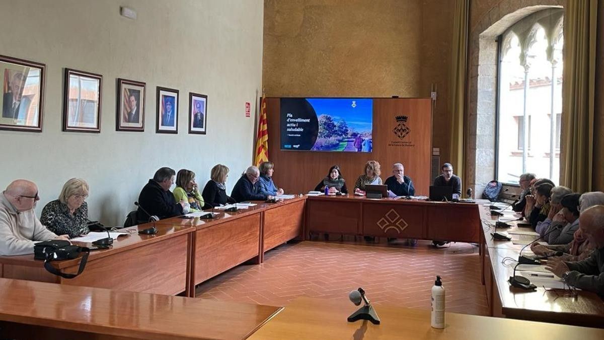Imatge de la trobada al Consell Comarcal