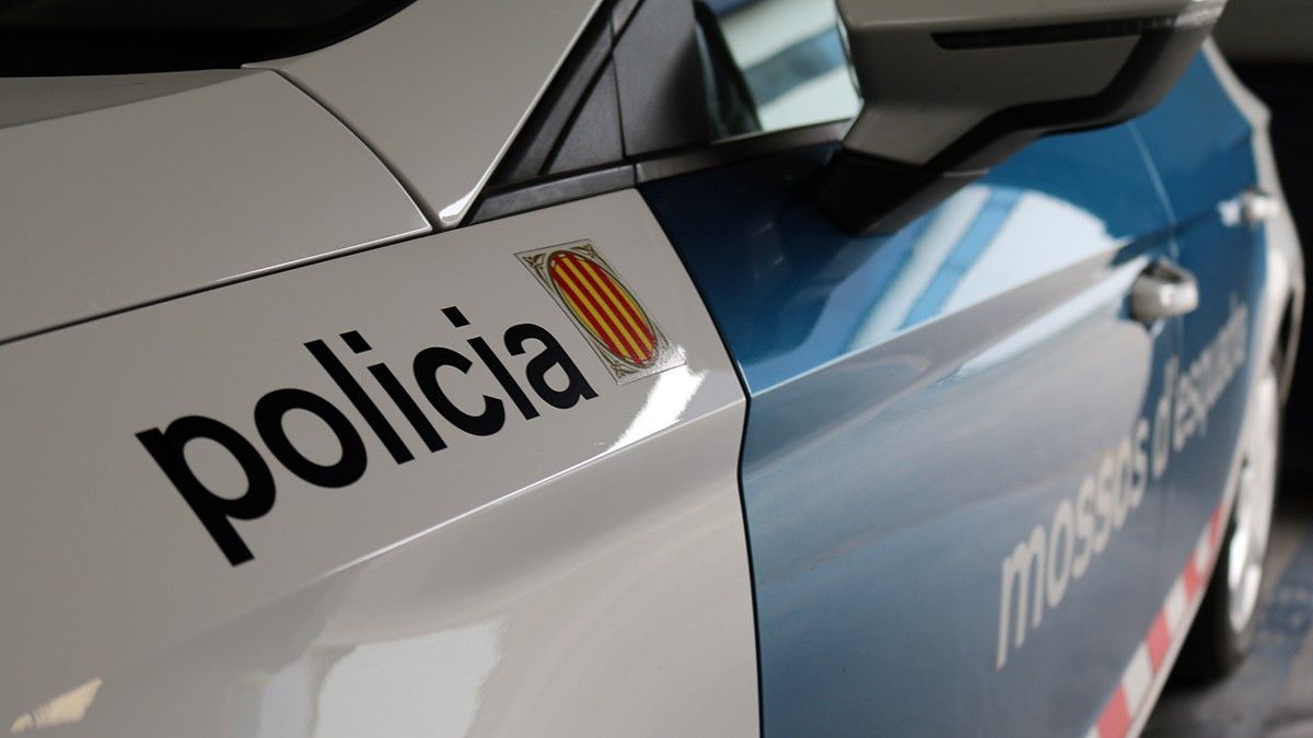 Els Mossos d'Esquadra van detenir el suposat agressor en un municipi del Baix Camp.