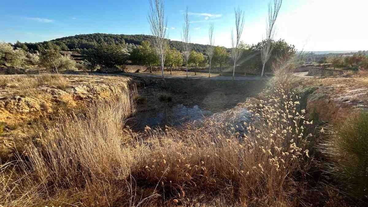 Imatge de l'aspecte actual de la bassa nova de Rodonyà